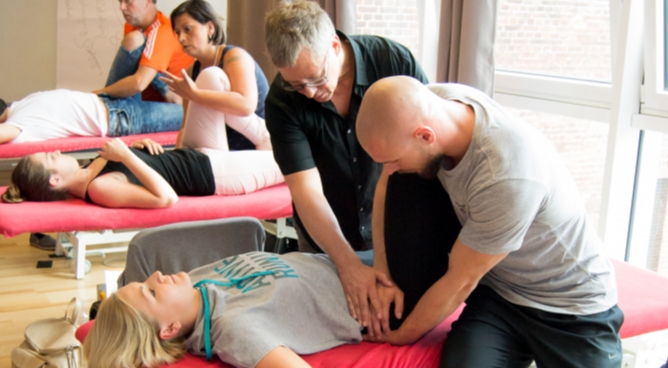 Manuelle Therapie - Das Osteopathische Konzept